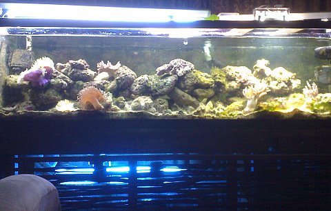 Jacques' 2 metre tank - updated pics