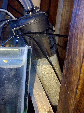 Jacques' 2 metre tank - updated pics - sump 5