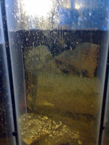 Jacques' 2 metre tank - updated pics - sump 3