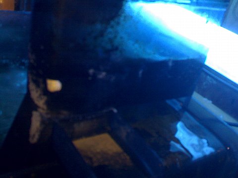 Jacques' 2 metre tank - updated pics - sump 2