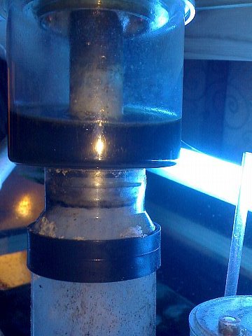 Jacques' 2 metre tank - updated pics - sump