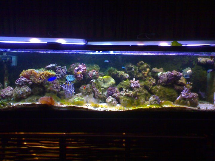Jacques' 2 metre tank - updated pics - 2