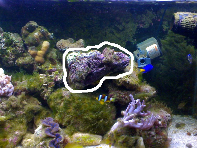 Jacques' 2 metre tank - updated pics - 2 3