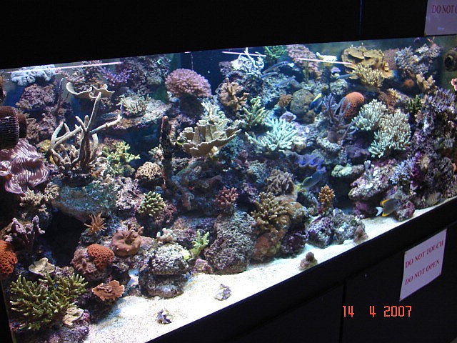 Northlans SPS System