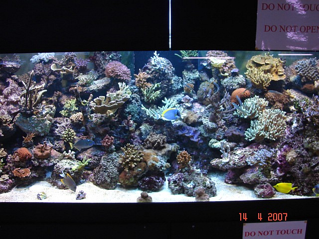 Northlans SPS System 2