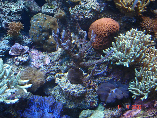 Northlans SPS System 7