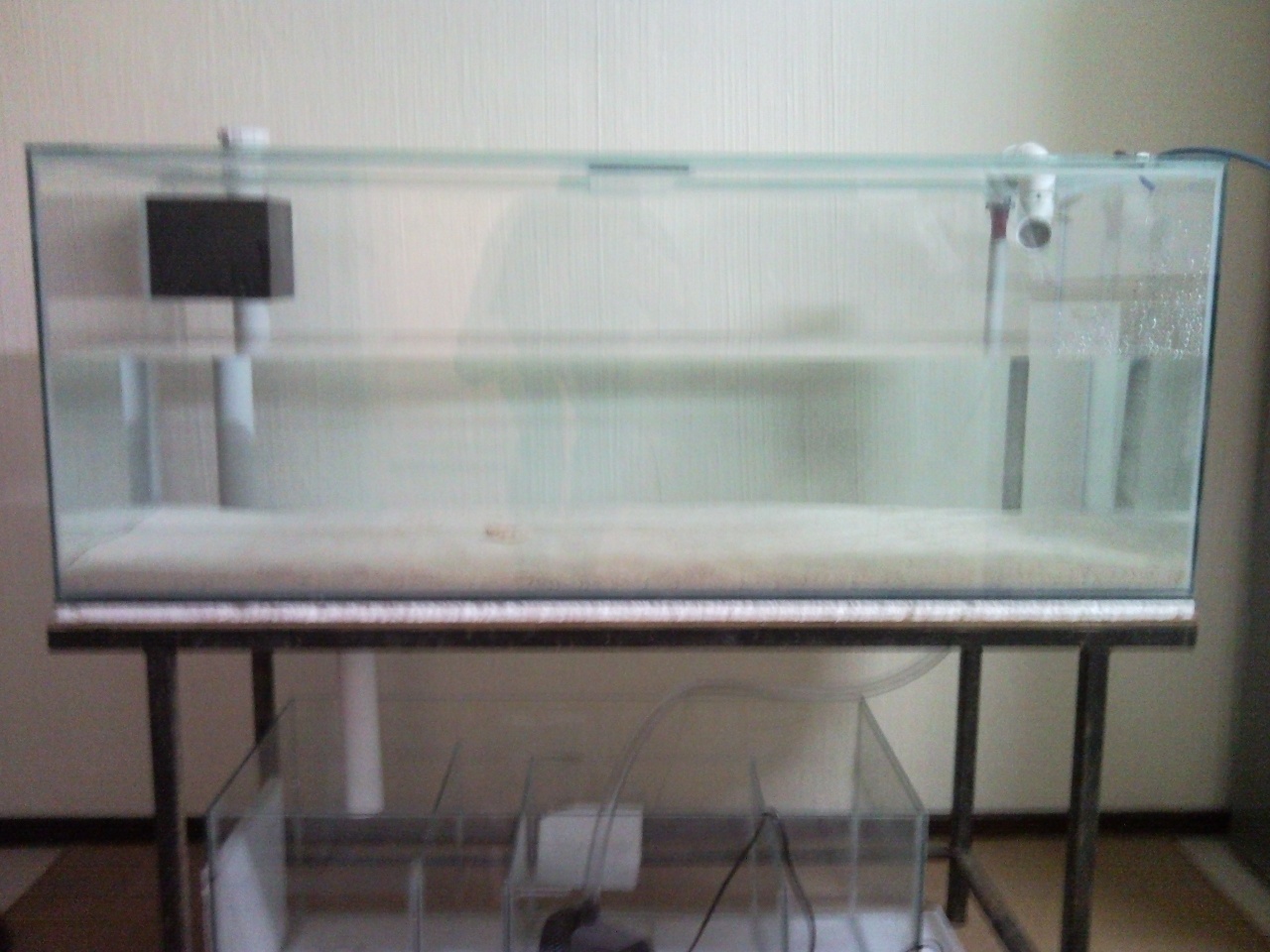 Sentari's Tank Setup