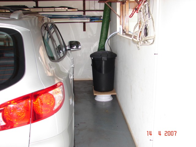 Dragon Reef 1 year 4