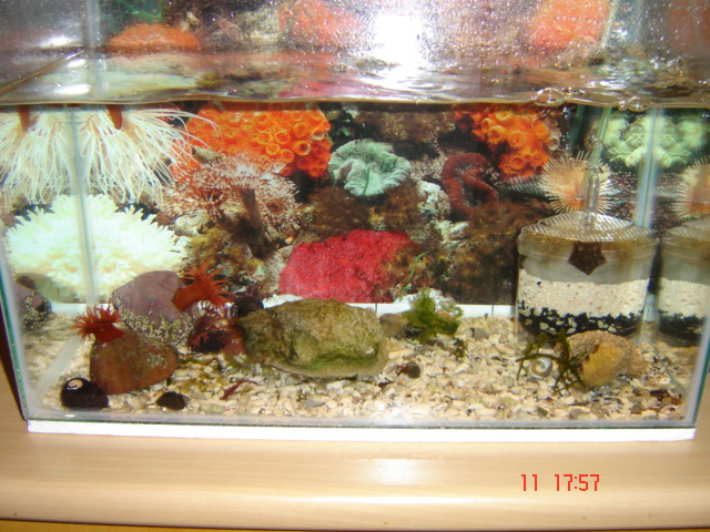 Coldwater tank
