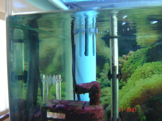 Jebo with "skimming" pump