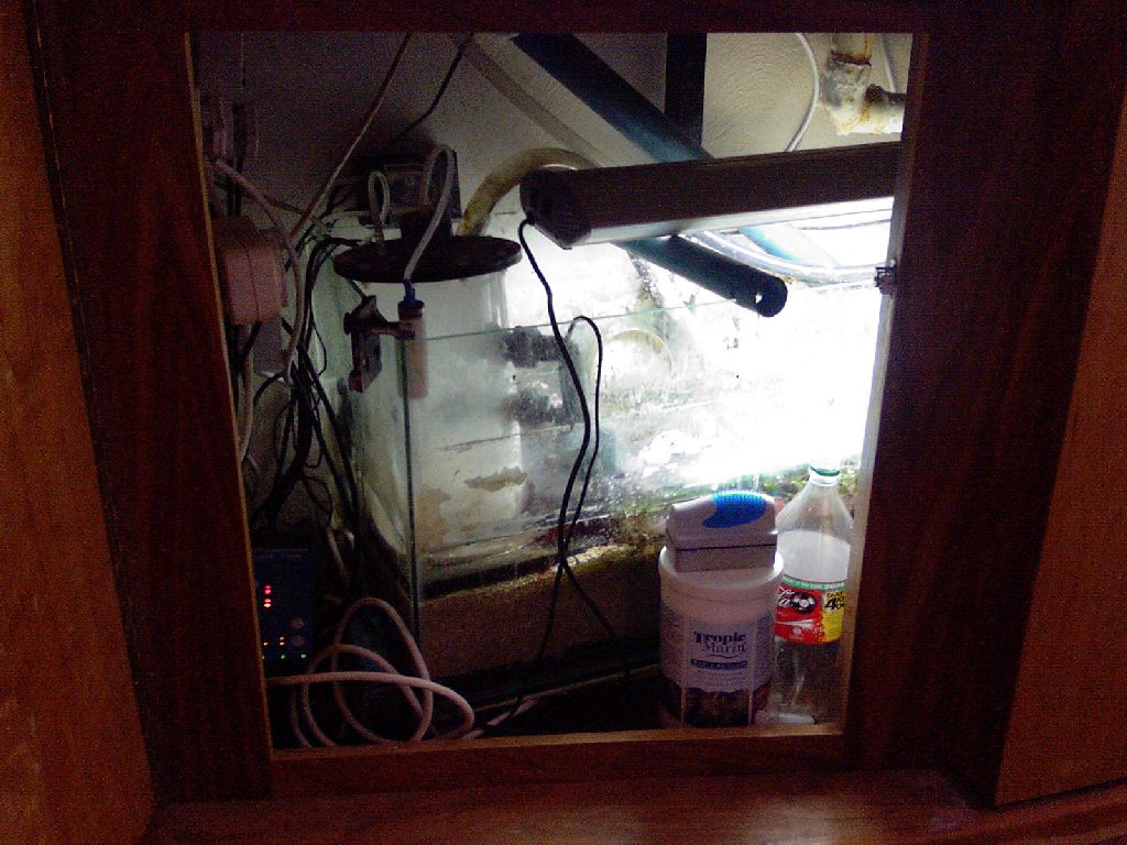 Meeting 5 - Bob the Reef Builder's System 3