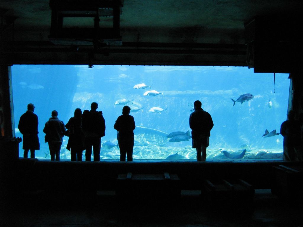 SARKAB 2006 Durban 4