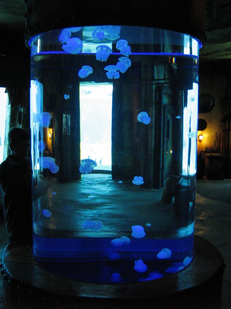 SARKAB 2006 Durban 6