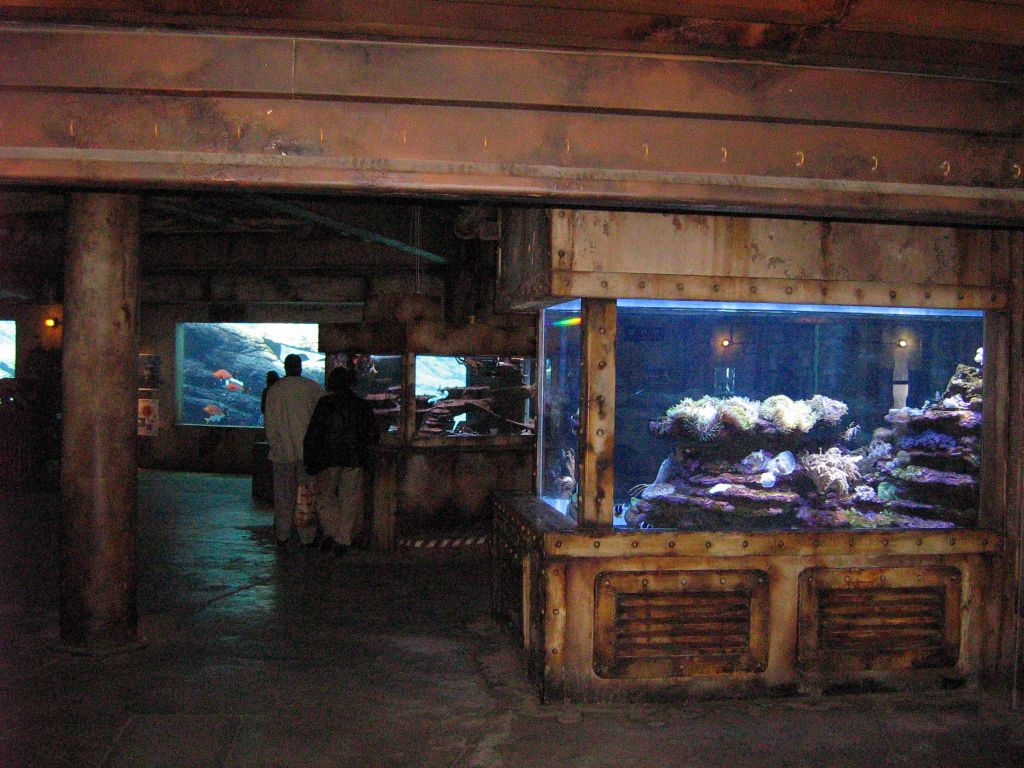 SARKAB 2006 Durban 2