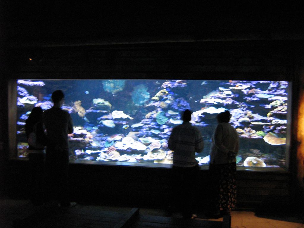 SARKAB 2006 Durban 2