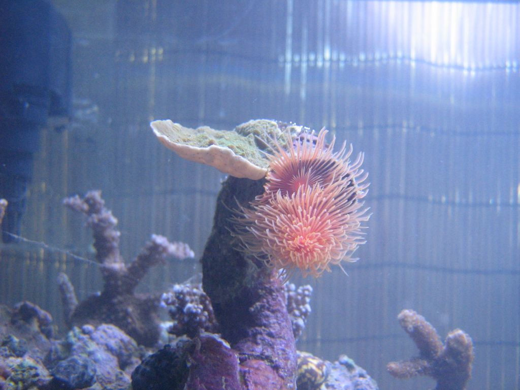 SARKAB 2006 Durban 10