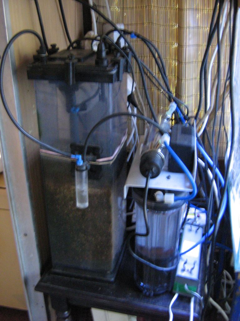 SARKAB 2006 Durban 3