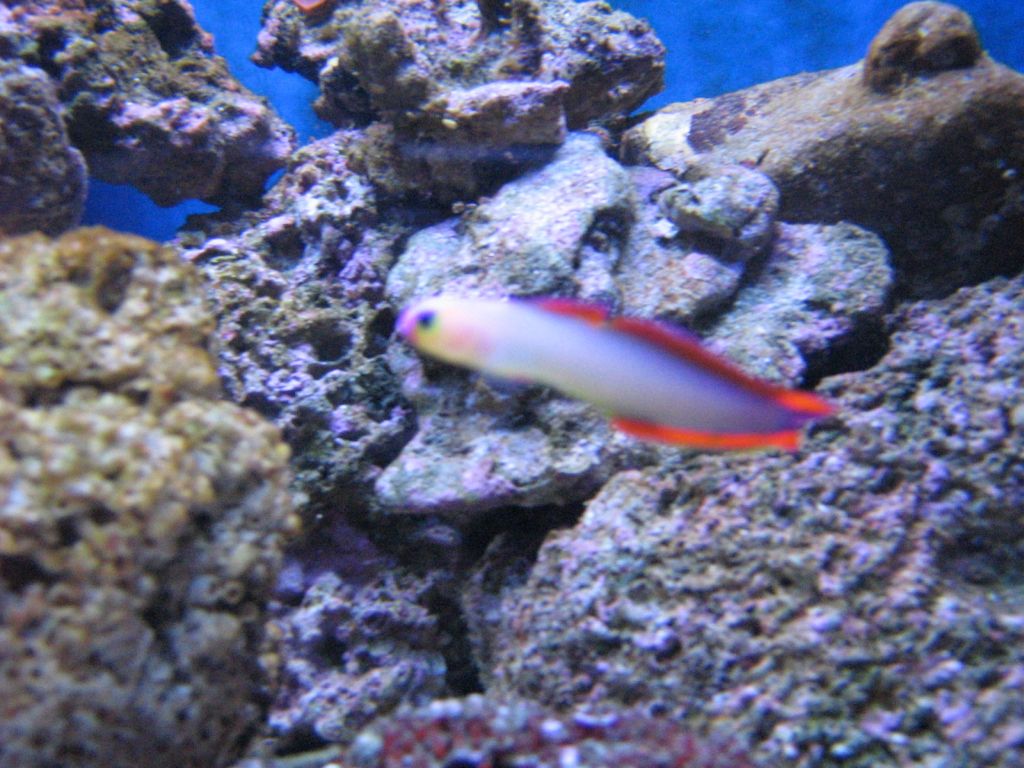 Meeting 7 (AKA Meeting 6 on SARK)