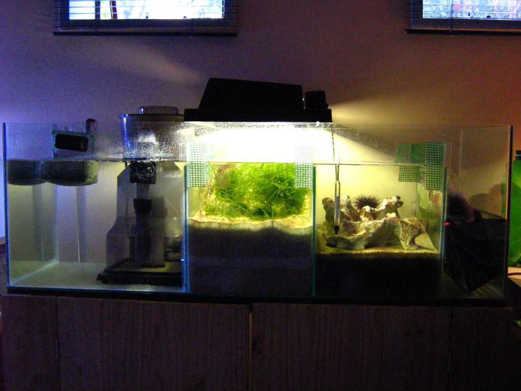 Meeting 7 (AKA Meeting 6 on SARK)