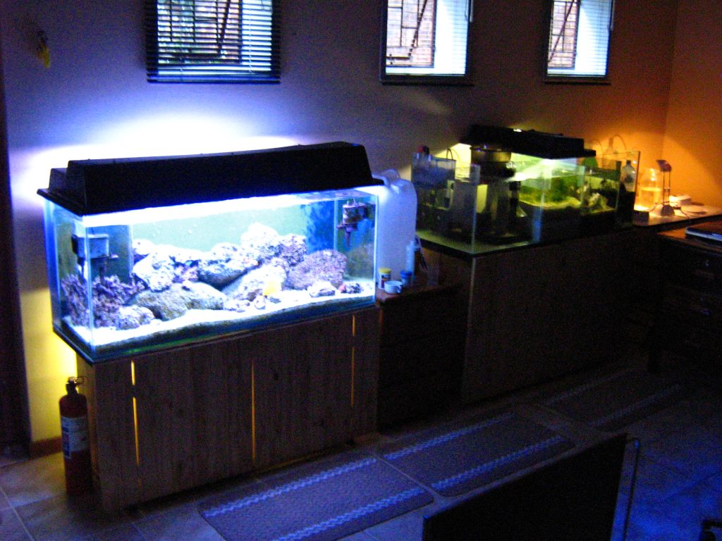 Meeting 7 (AKA Meeting 6 on SARK) 2