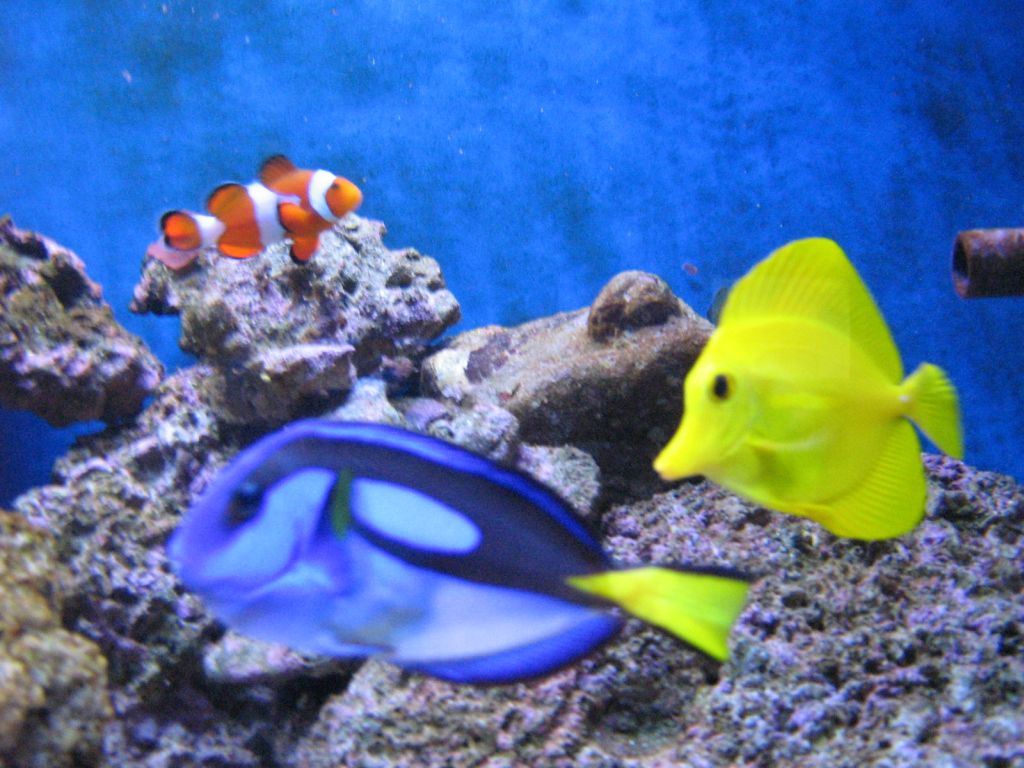 Meeting 7 (AKA Meeting 6 on SARK) 2