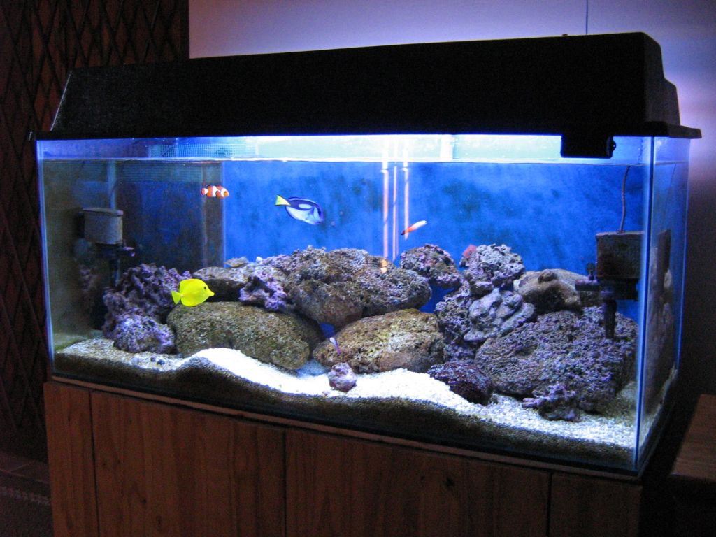 Meeting 7 (AKA Meeting 6 on SARK) 3