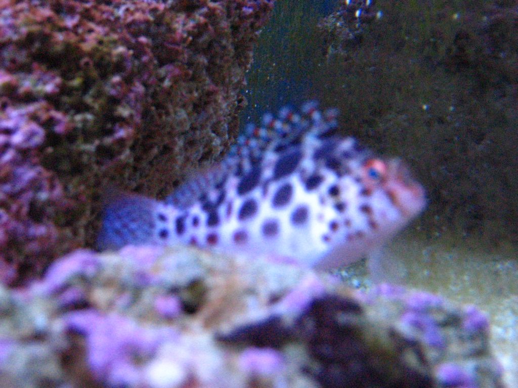 Meeting 7 (AKA Meeting 6 on SARK) 4