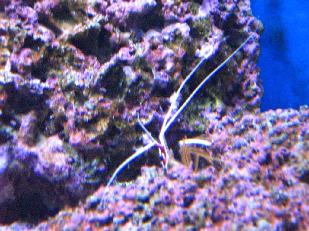 Meeting 7 (AKA Meeting 6 on SARK) 5