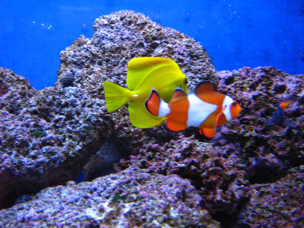 Meeting 7 (AKA Meeting 6 on SARK) 6