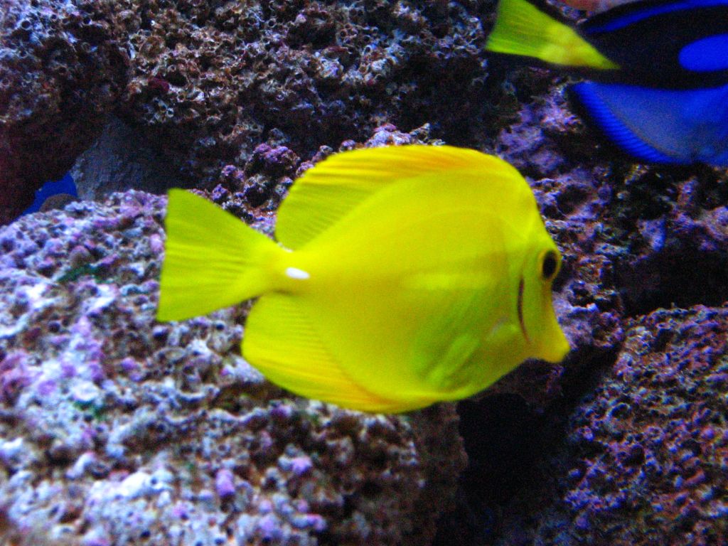 Meeting 7 (AKA Meeting 6 on SARK) 7