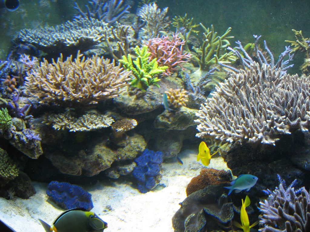 MEETING8 Adriaan (IDOL MARINE) 6