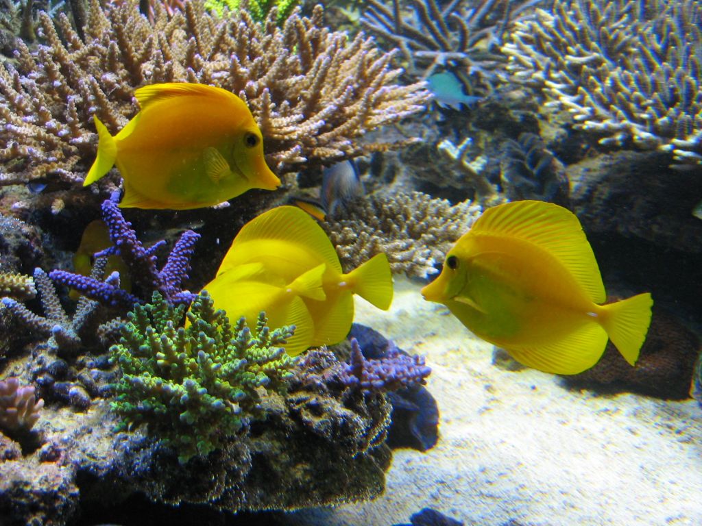 MEETING8 Adriaan (IDOL MARINE) 4