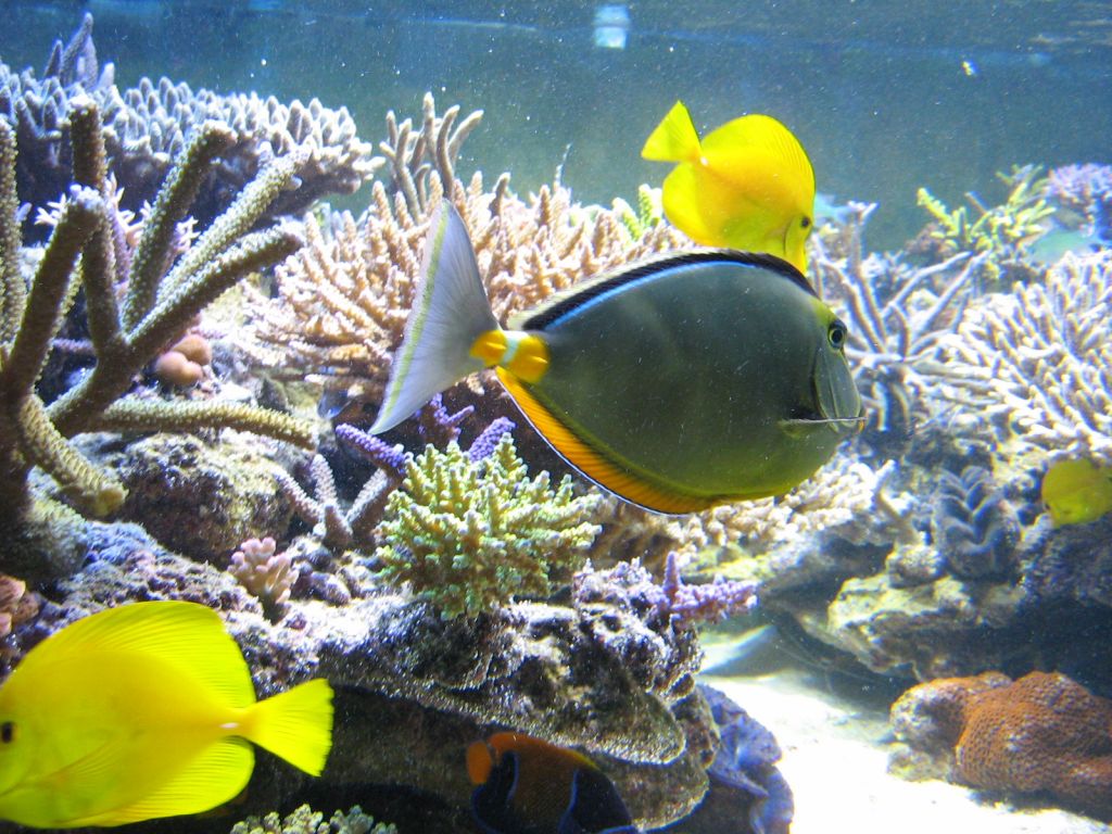 MEETING8 Adriaan (IDOL MARINE) 5