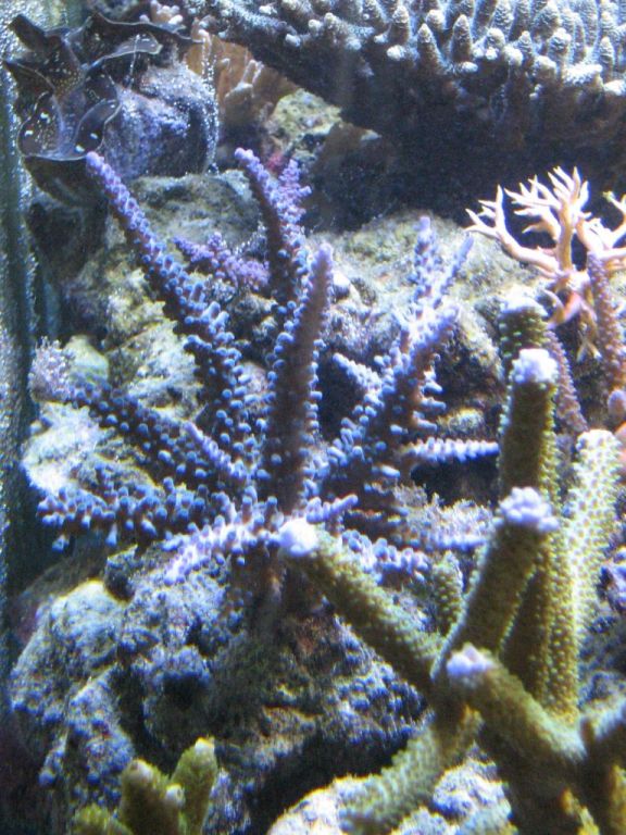 MEETING8 Adriaan (IDOL MARINE) 3