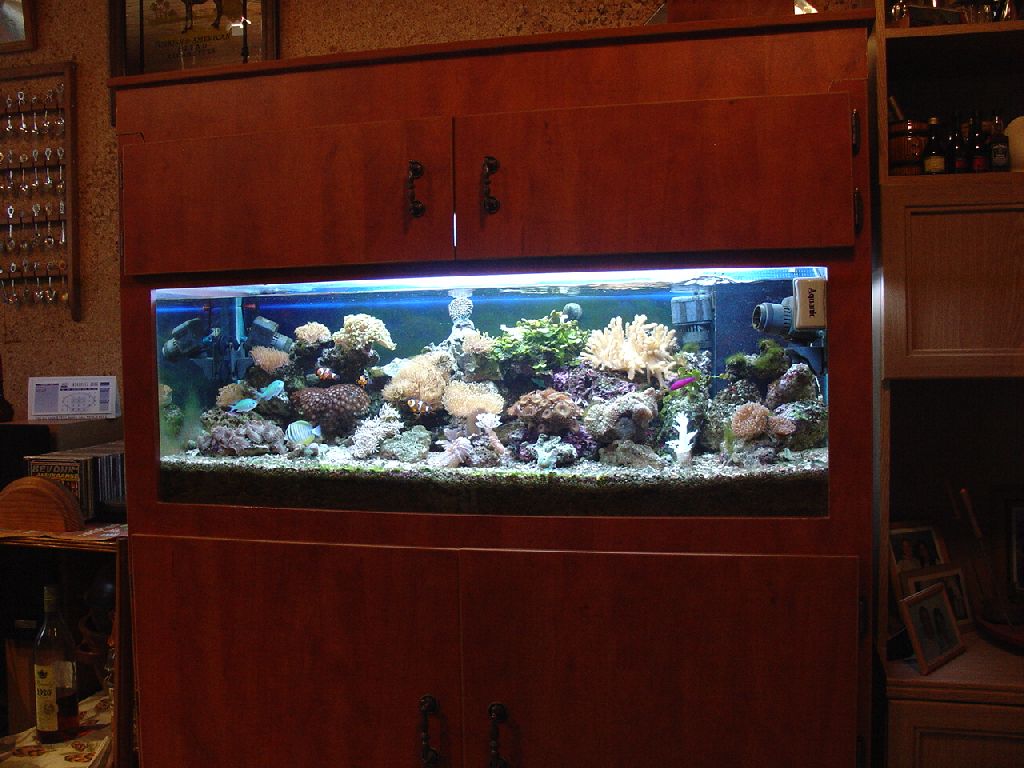 Meeting 9 - Jan Bobs 5