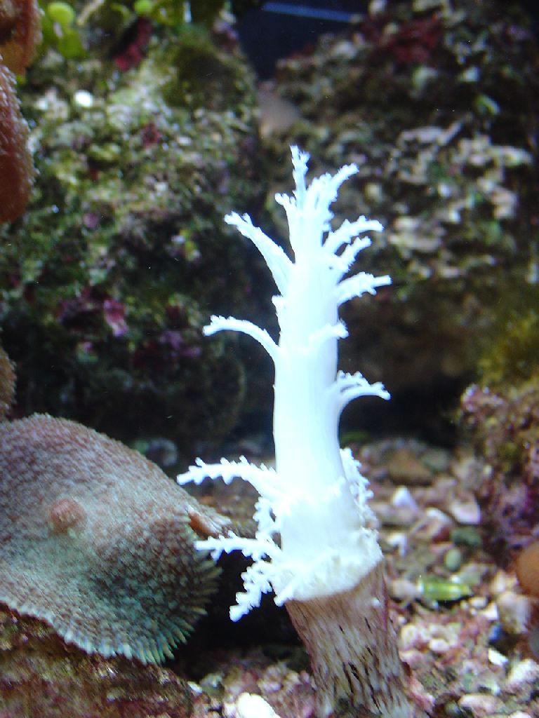 Meeting 9 - Jan Bobs 2