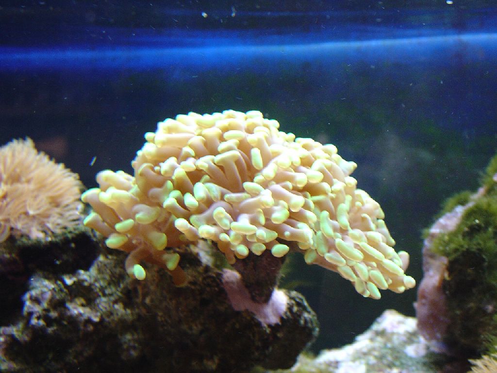 Meeting 9 - Jan Bobs 3