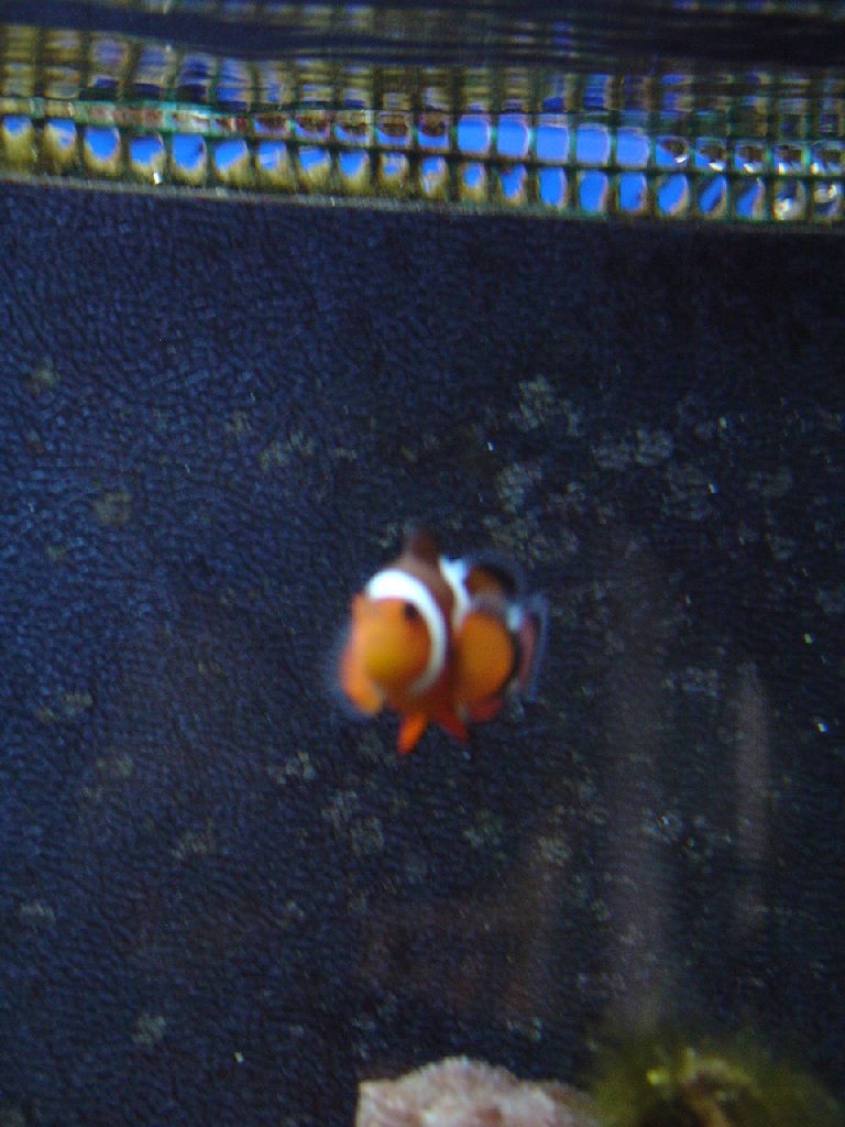 Meeting 9 - Jan Bobs 5