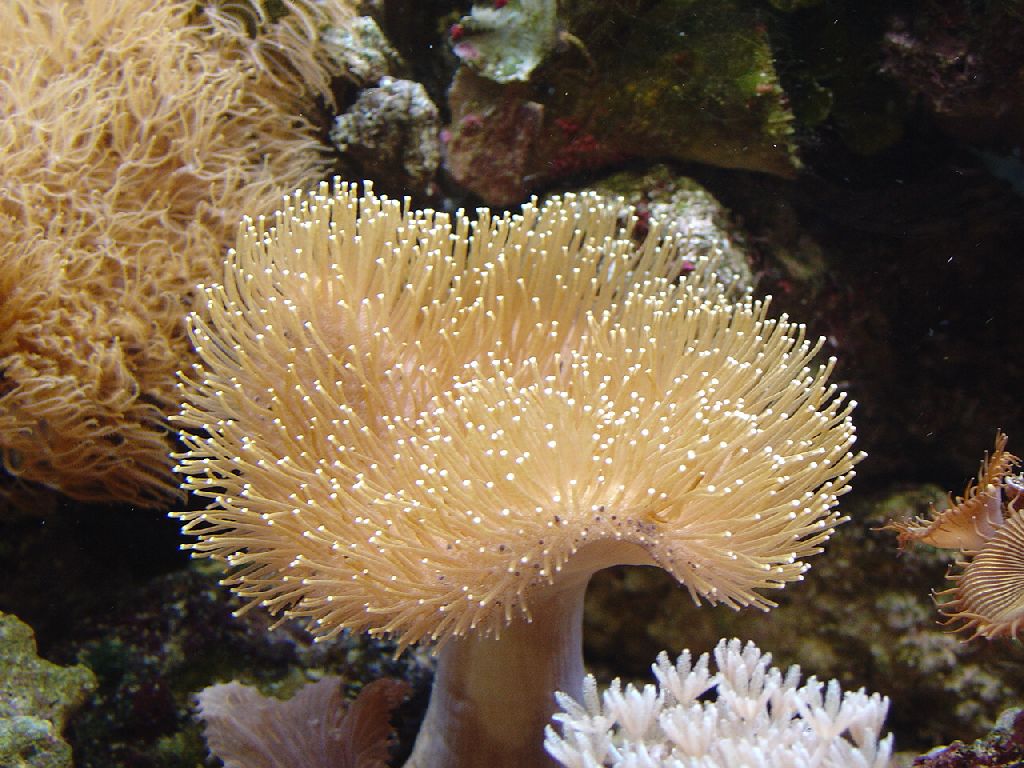 Meeting 9 - Jan Bobs