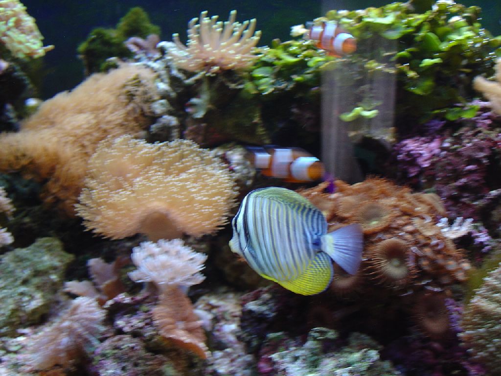 Meeting 9 - Jan Bobs 4