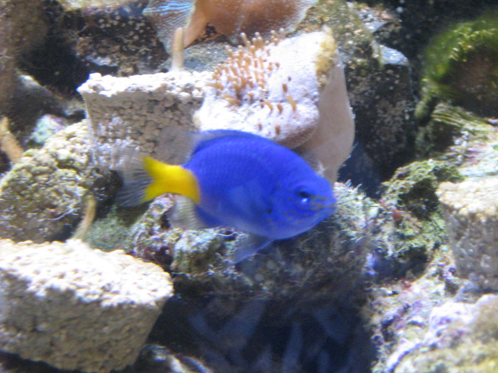 Meeting 12 - Fragman 5