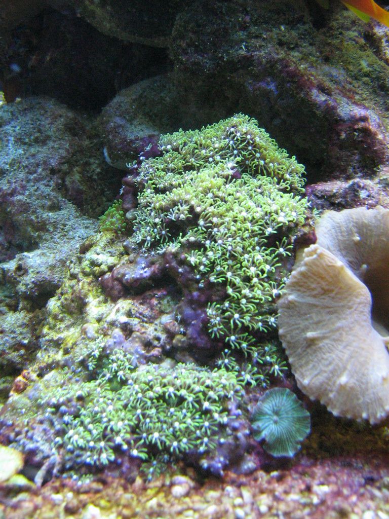 Meeting 13 - Midasblenny1 (Sponsor) 5