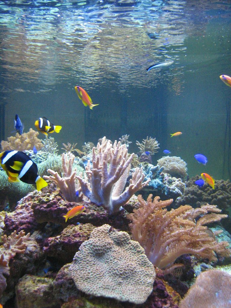 Meeting 13 - Midasblenny1 (Sponsor) 2