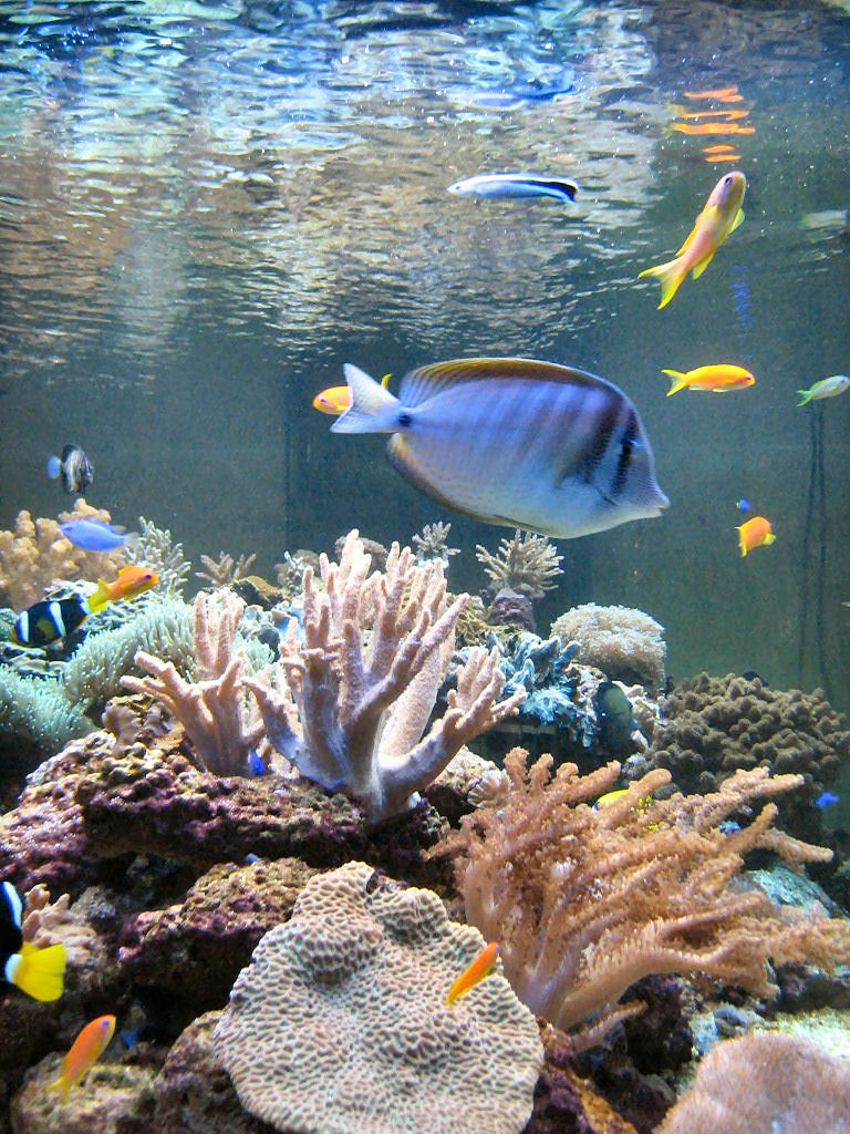 Meeting 13 - Midasblenny1 (Sponsor) 3