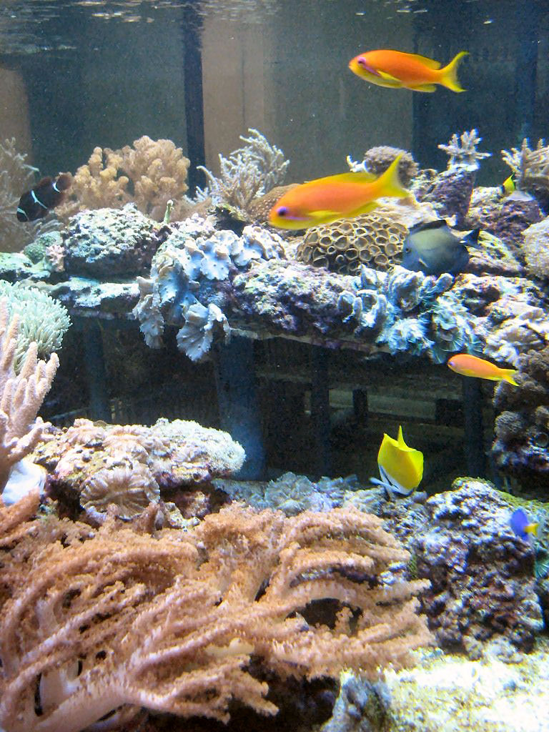 Meeting 13 - Midasblenny1 (Sponsor) 5