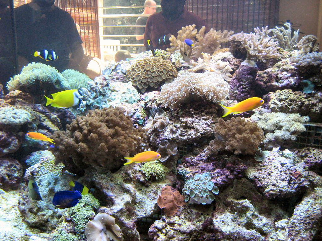 Meeting 13 - Midasblenny1 (Sponsor) 6