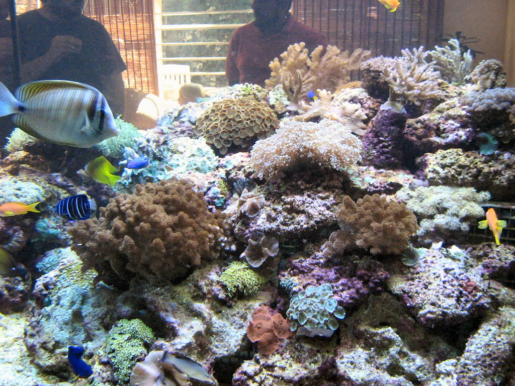 Meeting 13 - Midasblenny1 (Sponsor) 7