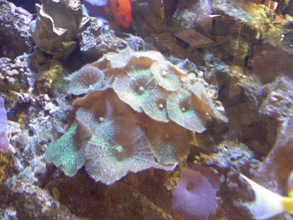 Meeting 14 Adriaan (Pretoria) 5