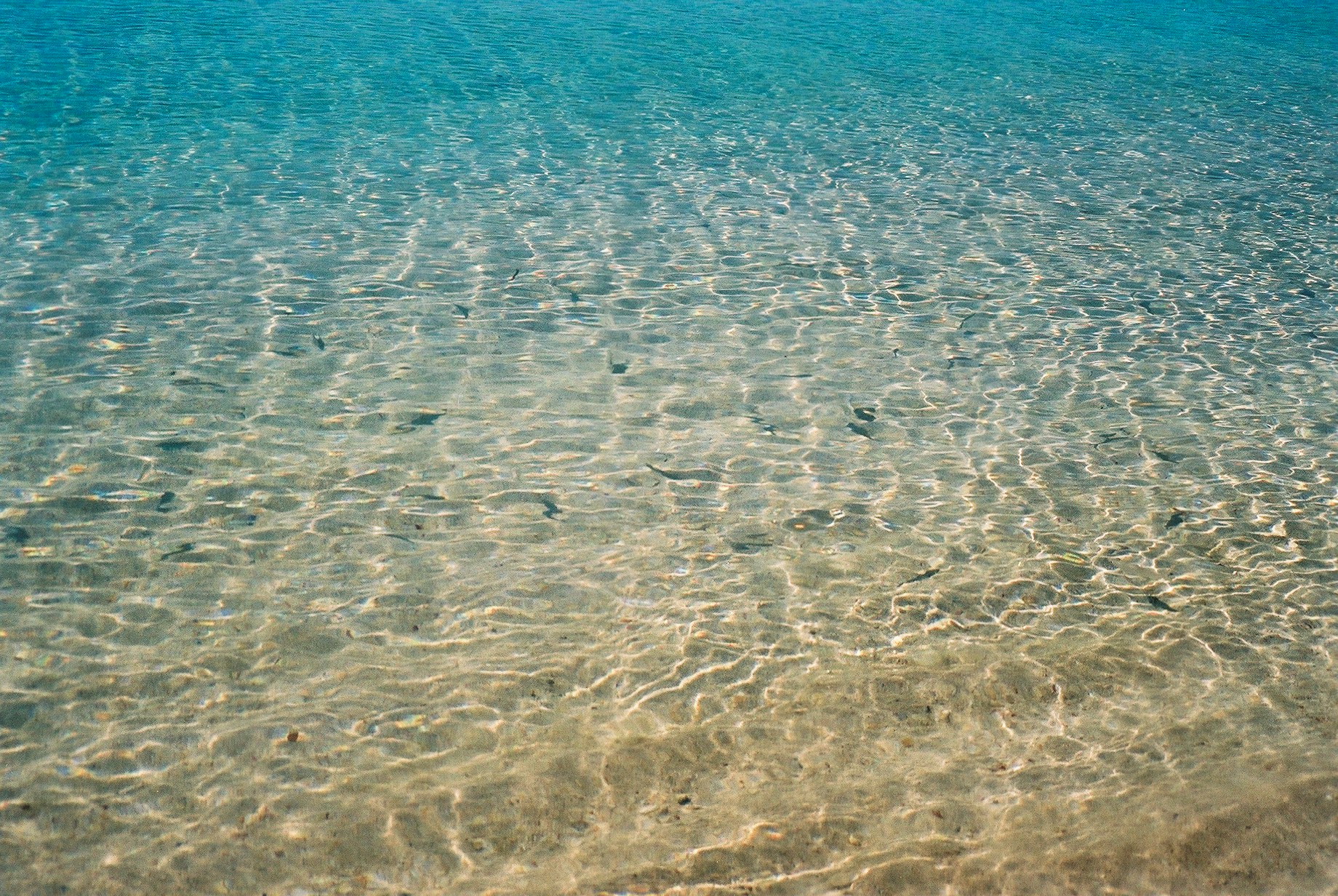 Sea