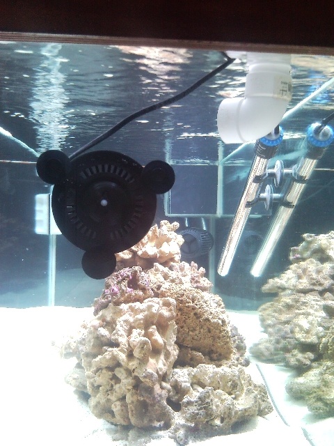 Sentari's Tank Setup 2